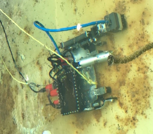 LIZARD LP184SR and Custom Lizard Dive Solution